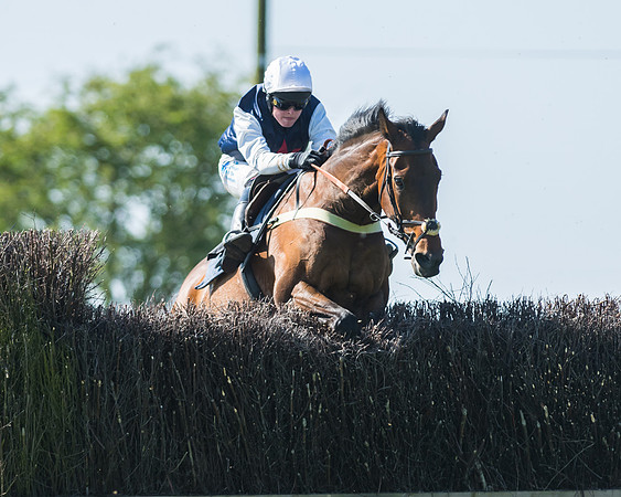 Fernie at Dingley 6th May 2018