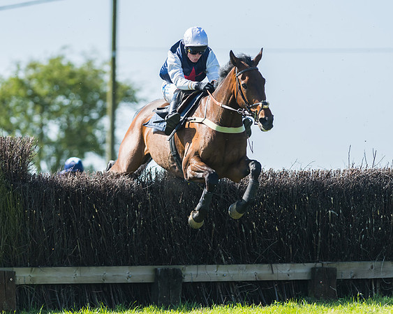 Fernie at Dingley 6th May 2018