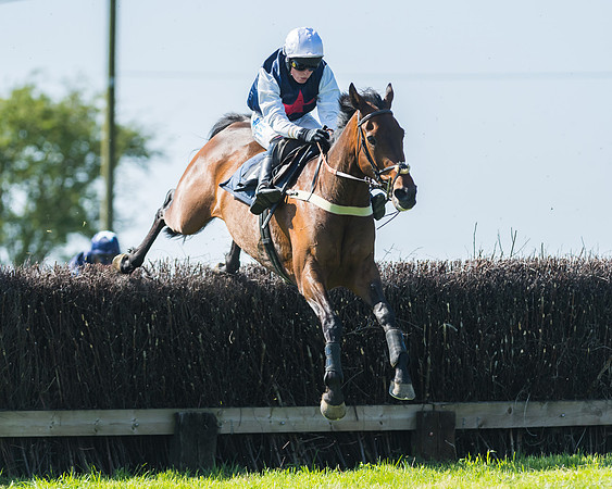 Fernie at Dingley 6th May 2018