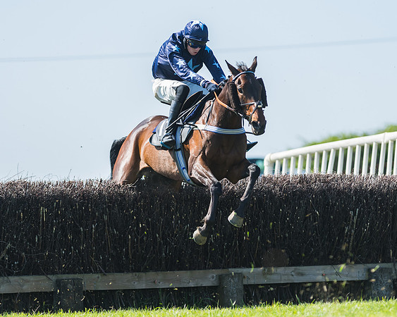 Fernie at Dingley 6th May 2018