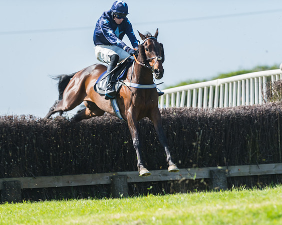 Fernie at Dingley 6th May 2018