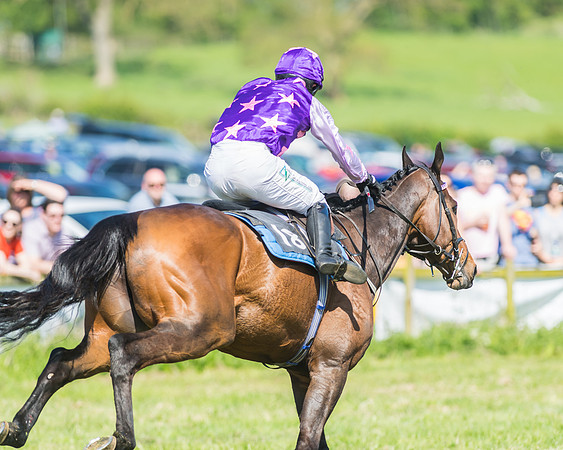 Fernie at Dingley 6th May 2018