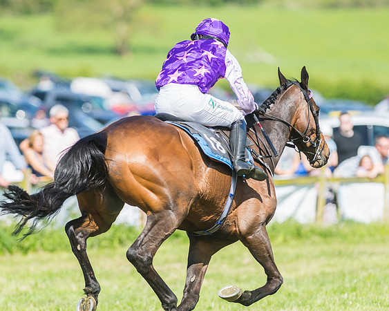 Fernie at Dingley 6th May 2018