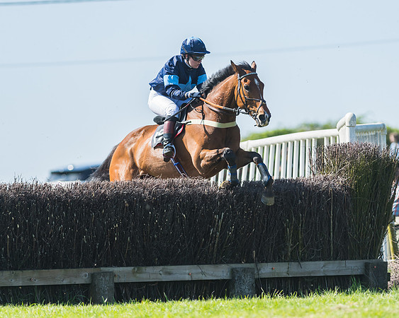Fernie at Dingley 6th May 2018