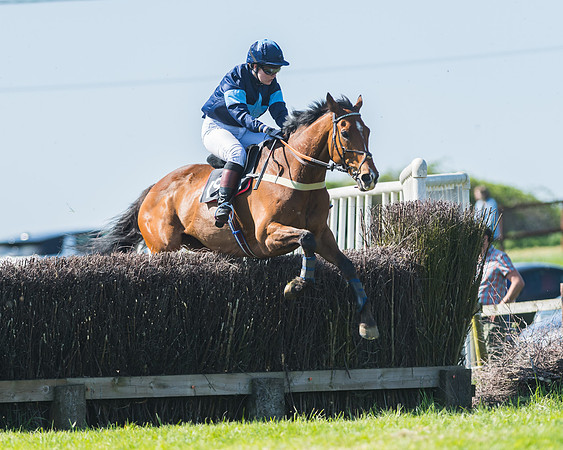 Fernie at Dingley 6th May 2018
