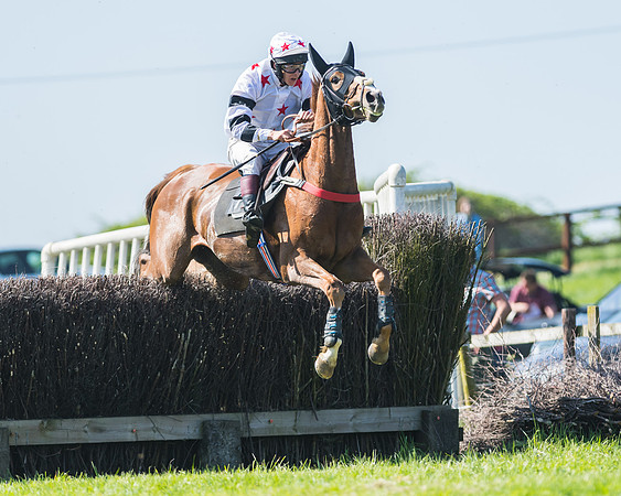 Fernie at Dingley 6th May 2018