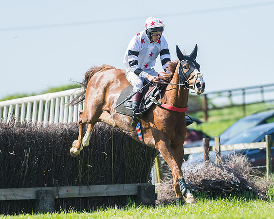 Fernie at Dingley 6th May 2018