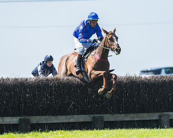 Fernie at Dingley 6th May 2018