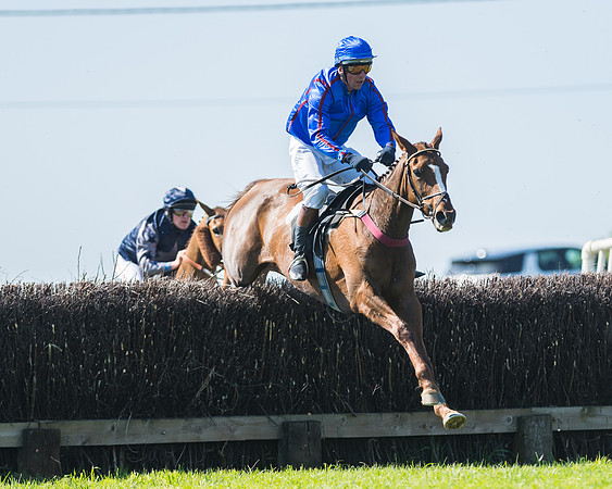 Fernie at Dingley 6th May 2018