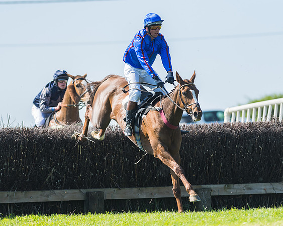 Fernie at Dingley 6th May 2018