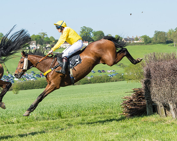Fernie at Dingley 6th May 2018