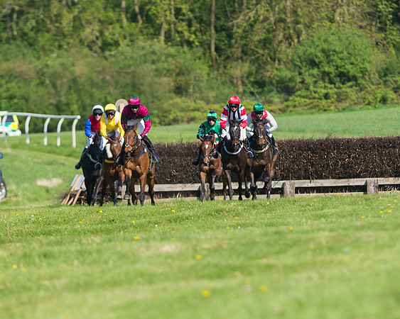 Fernie at Dingley 6th May 2018