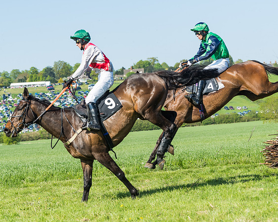 Fernie at Dingley 6th May 2018