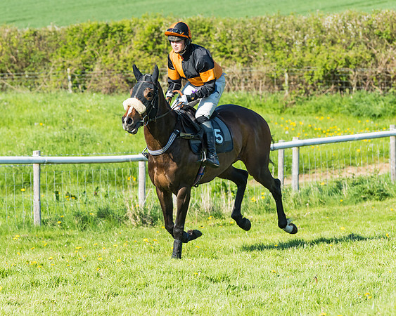 Fernie at Dingley 6th May 2018