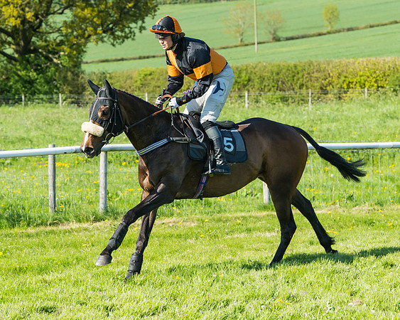 Fernie at Dingley 6th May 2018