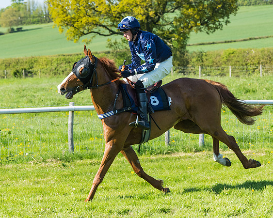 Fernie at Dingley 6th May 2018