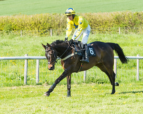 Fernie at Dingley 6th May 2018