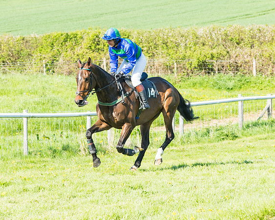 Fernie at Dingley 6th May 2018