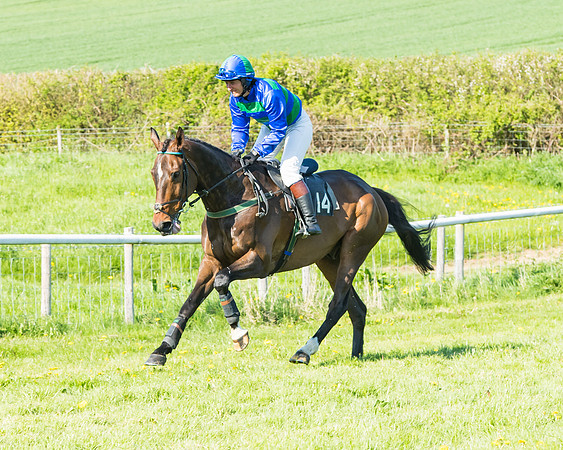 Fernie at Dingley 6th May 2018