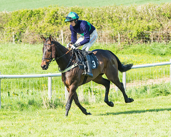 Fernie at Dingley 6th May 2018