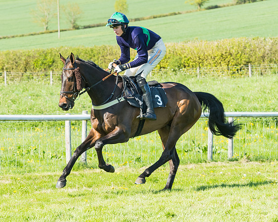 Fernie at Dingley 6th May 2018