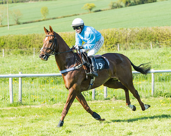 Fernie at Dingley 6th May 2018