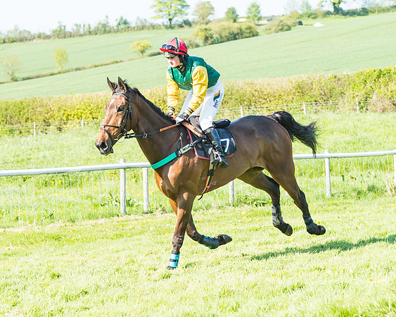 Fernie at Dingley 6th May 2018