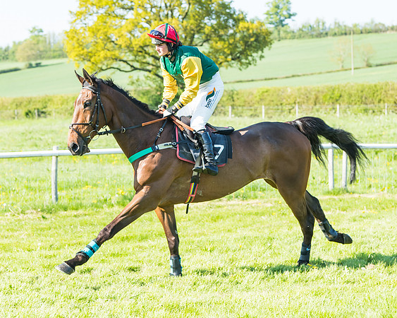 Fernie at Dingley 6th May 2018