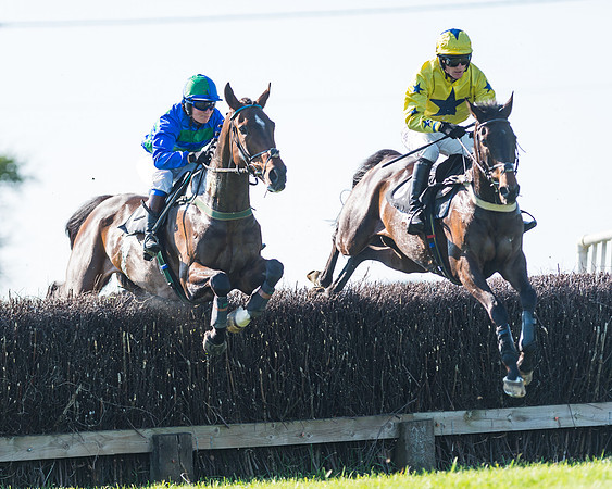 Fernie at Dingley 6th May 2018