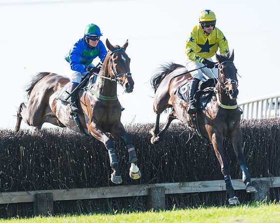 Fernie at Dingley 6th May 2018