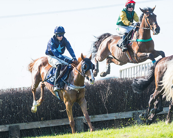 Fernie at Dingley 6th May 2018