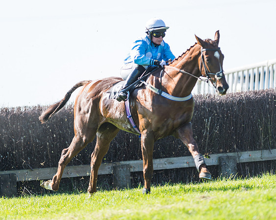 Fernie at Dingley 6th May 2018