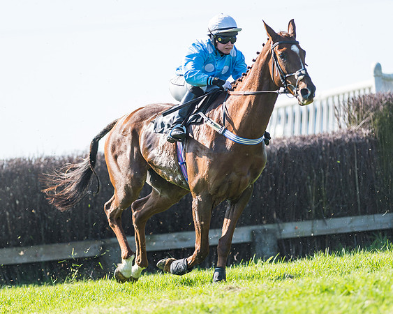 Fernie at Dingley 6th May 2018