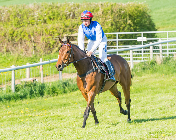 Fernie at Dingley 6th May 2018