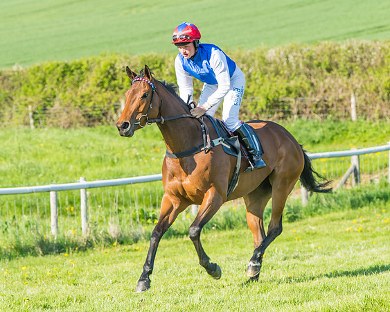 Fernie at Dingley 6th May 2018