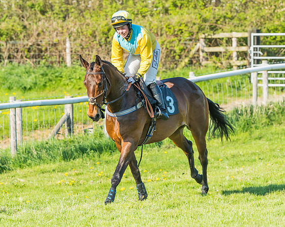 Fernie at Dingley 6th May 2018