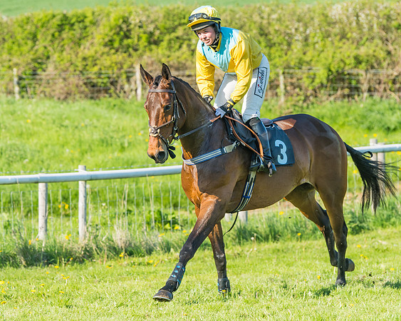 Fernie at Dingley 6th May 2018