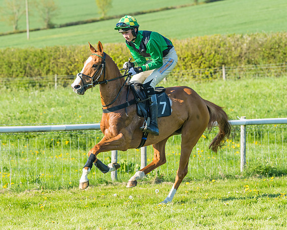 Fernie at Dingley 6th May 2018