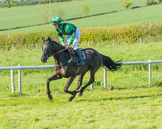 Fernie at Dingley 6th May 2018