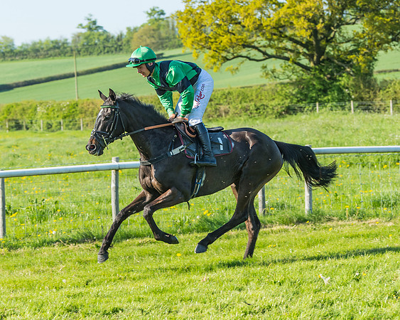 Fernie at Dingley 6th May 2018