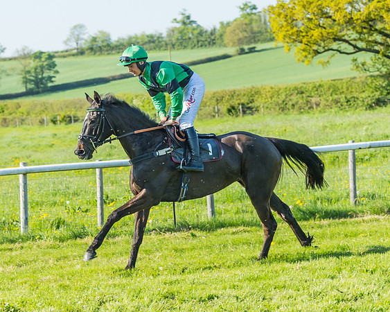 Fernie at Dingley 6th May 2018