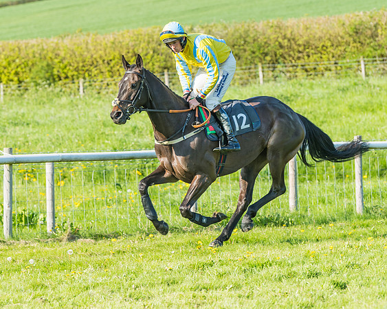 Fernie at Dingley 6th May 2018