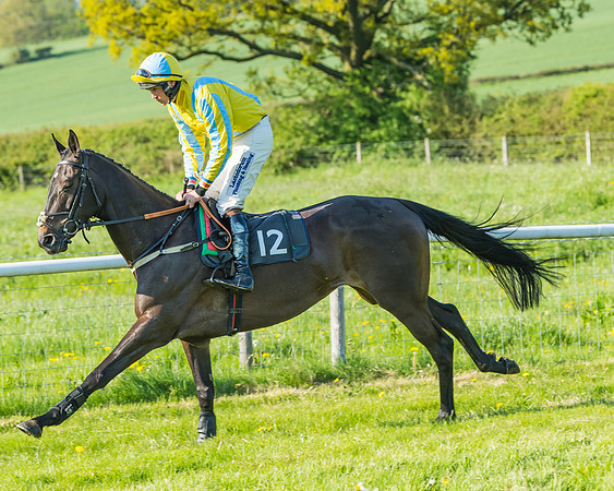 Fernie at Dingley 6th May 2018