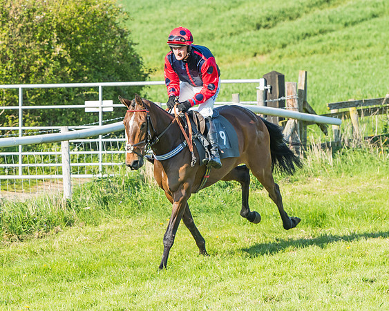 Fernie at Dingley 6th May 2018