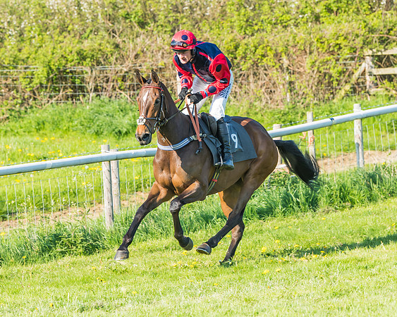 Fernie at Dingley 6th May 2018