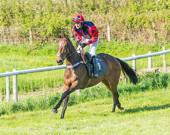 Fernie at Dingley 6th May 2018
