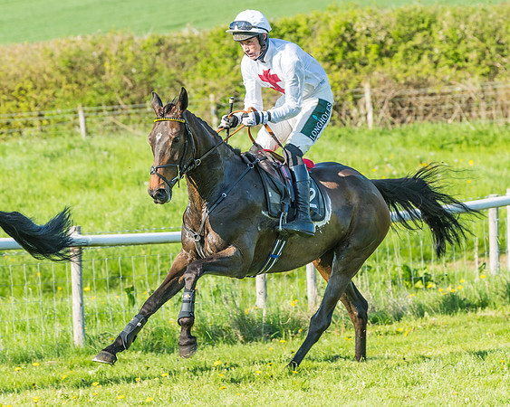 Fernie at Dingley 6th May 2018