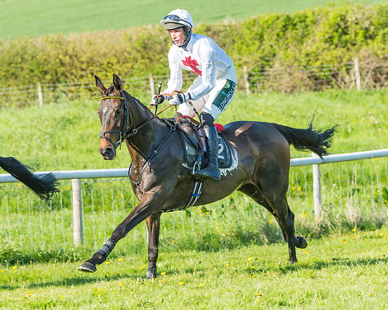 Fernie at Dingley 6th May 2018