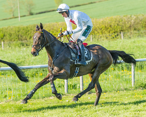 Fernie at Dingley 6th May 2018