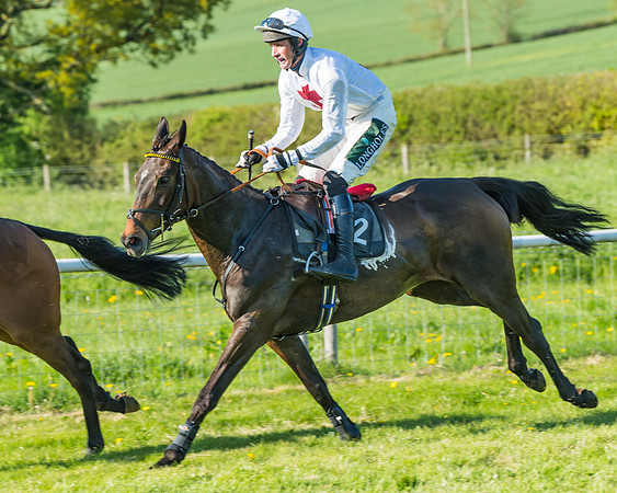 Fernie at Dingley 6th May 2018